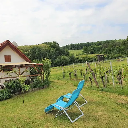 Villa Kellerstoeckl Weinberg Eisenberg an der Pinka Esterno foto