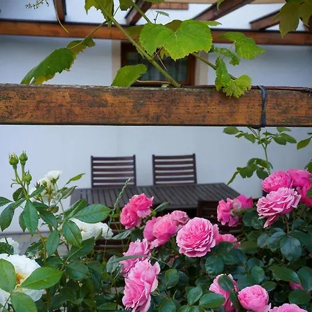 Villa Kellerstoeckl Weinberg Eisenberg an der Pinka Esterno foto
