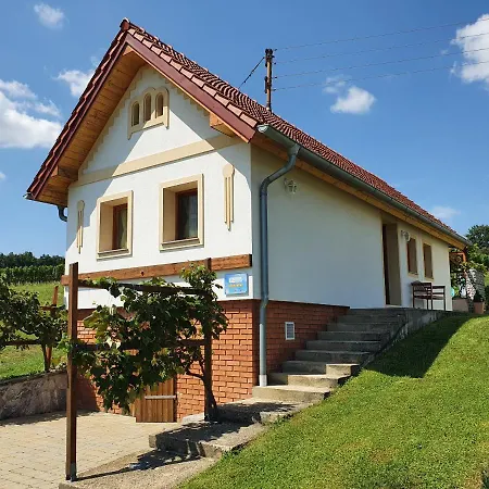 Villa Kellerstoeckl Weinberg Eisenberg an der Pinka Esterno foto